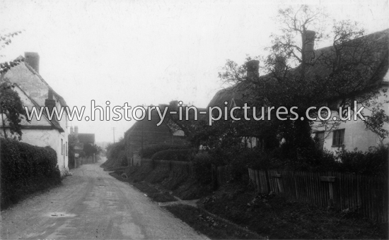 The Street, Lt Chesterford, Essex. c.1920's